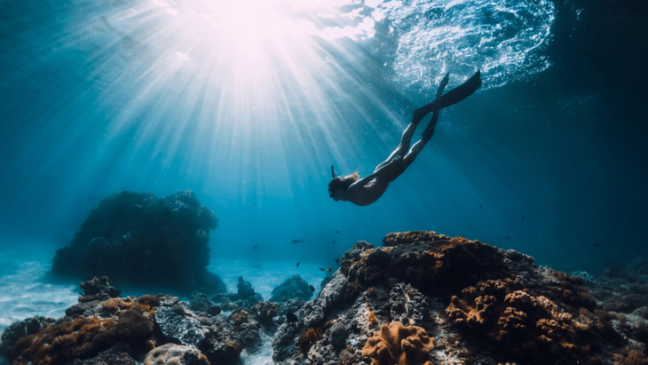 Freediving