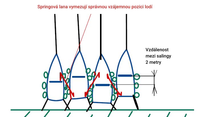 Pozice lodí